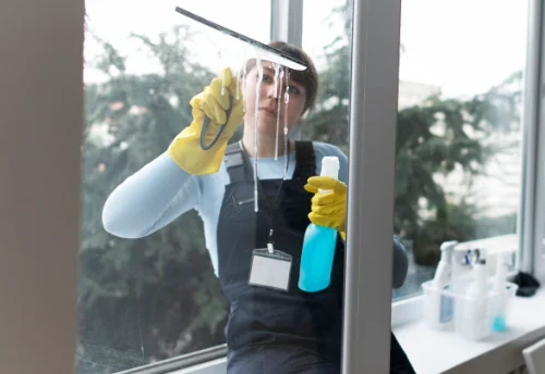 Nettoyage de vitres intérieures et extérieures à Tourtenay